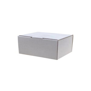 100pcs 100 x 75 x 50mm Diecut Mailing Box White