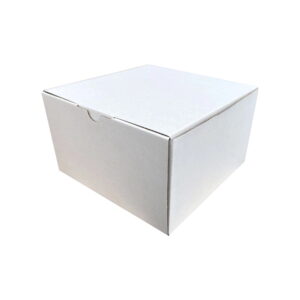 100pcs 200 X 200 X 120mm Diecut Mailing Box White