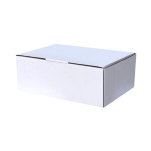 100pcs 220 x 160 x 100mm Diecut Mailing Box White