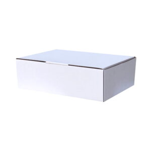100pcs 220 x 160 x 50mm Diecut Mailing Box White