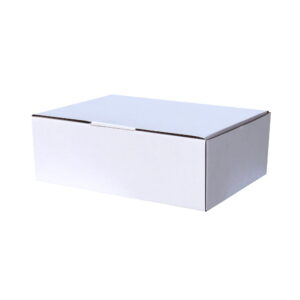 100pcs 220 x 160 x 77mm Diecut Mailing Box White