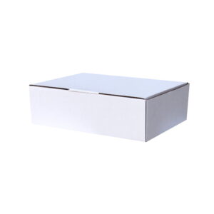 100pcs 240 x 125 x 75mm Diecut Mailing Box White