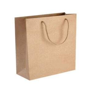 250pcs Kraft Paper Shopping Carry Bag 220×180 + 100mm