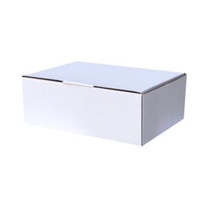 100pcs 250 x 190 x 90mm Diecut Mailing Box White