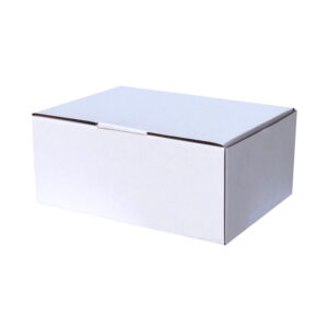 100pcs Diecut 270 x 160 x 120mm Mailing Box White