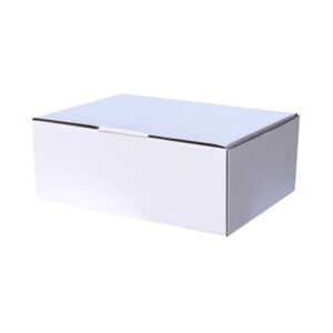 100pcs Diecut 270 x 200 x 95mm Mailing Box White