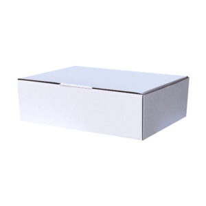 100pcs 310 x 225 x 55mm Diecut Mailing Box White